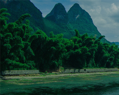 美淼环保
